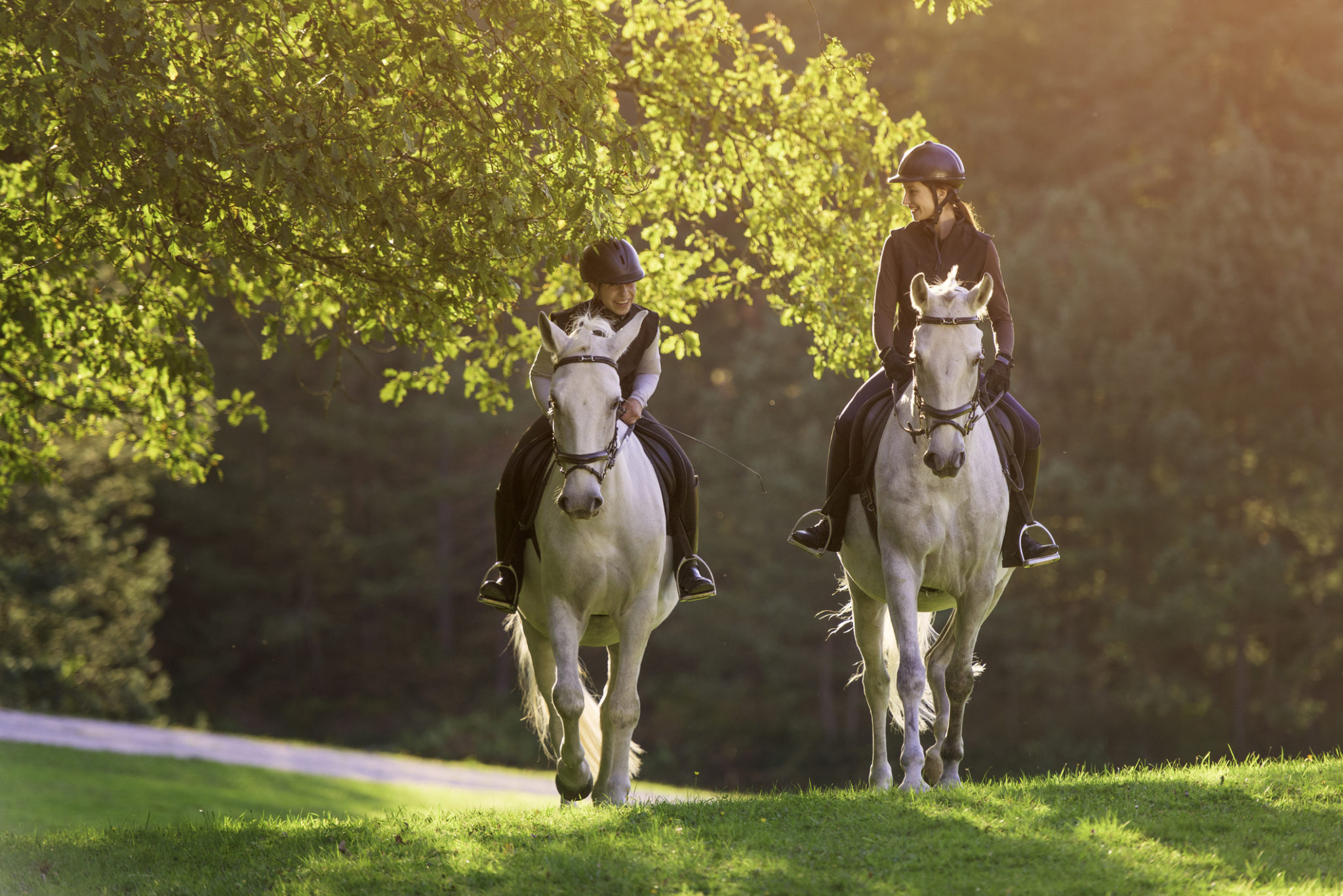 Housing Authority Of Cook County & Bravehearts Therapeutic Riding ...